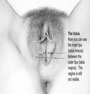 vulvovaginal_health_7-new