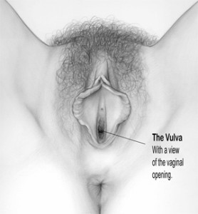 vulvovaginal_health_8-new